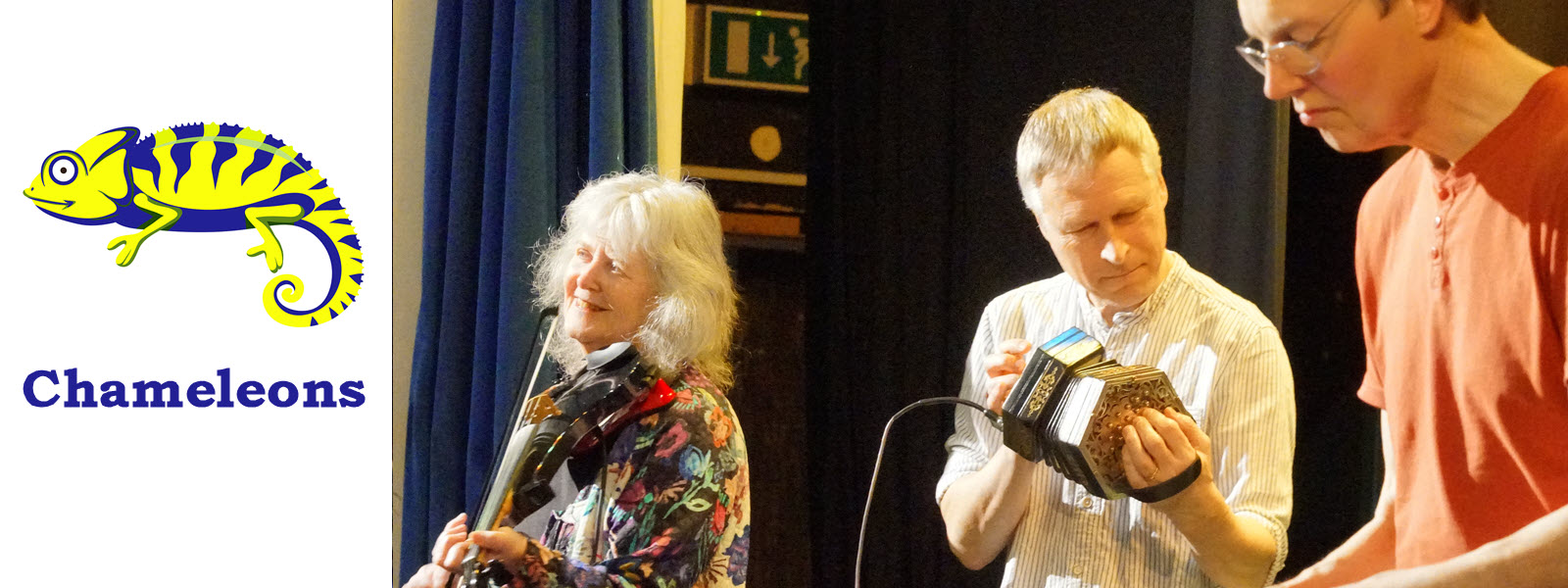 Chameleons banner