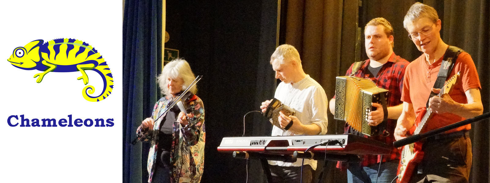 Chameleons banner